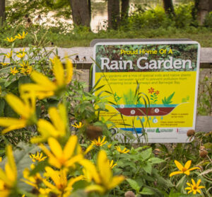 Lake Carasaljo: Keeping Stormwater Runoff at Bay