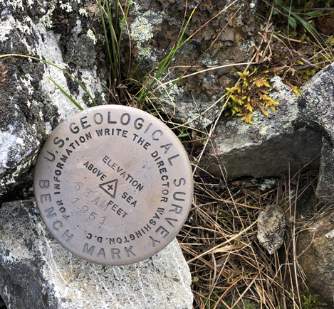 USGS benchmark