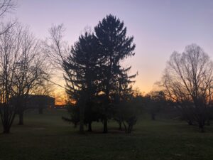 Late Summer Safety Tips