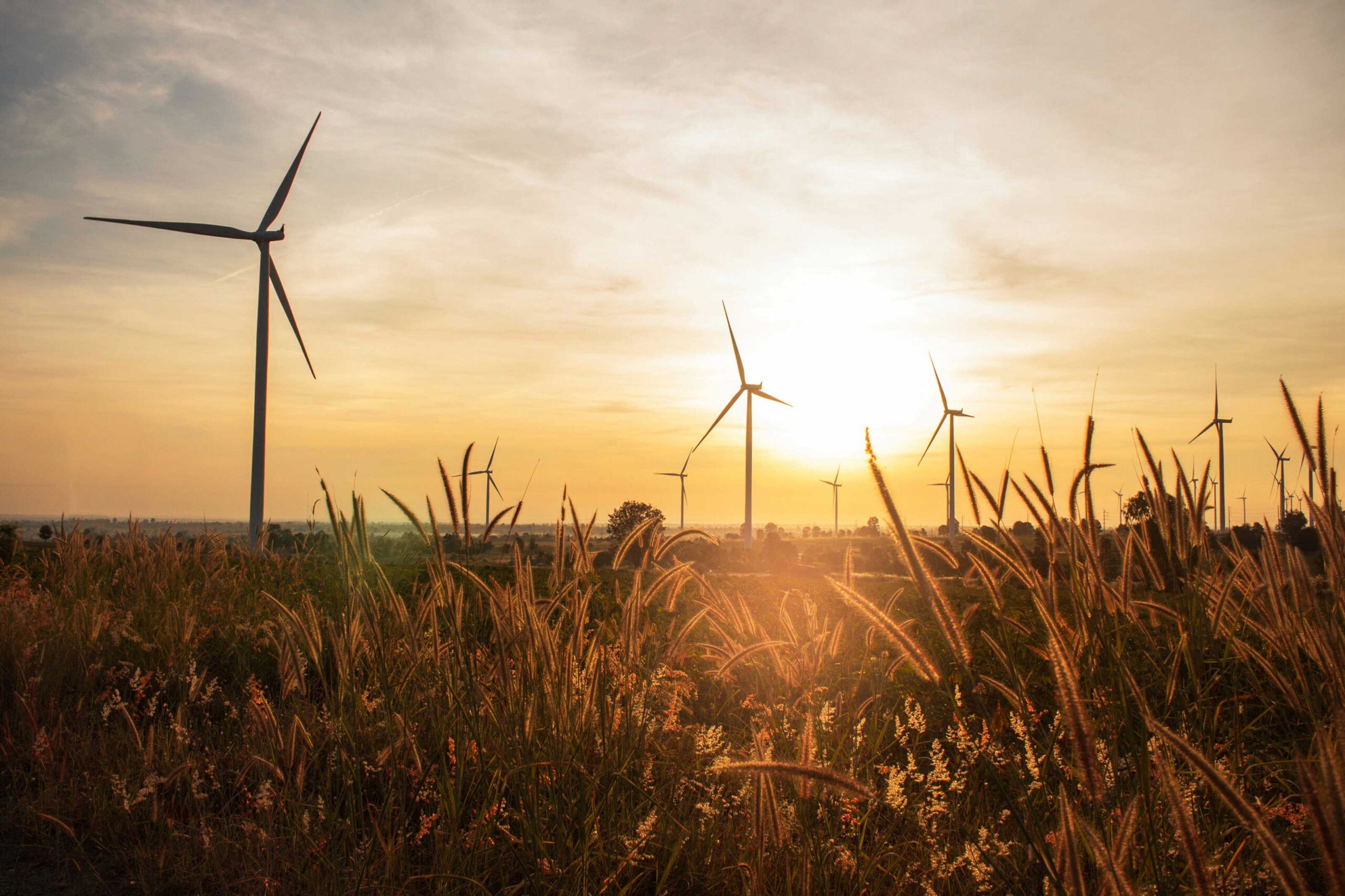 Wind turbines generating renewable energy in a field in Kansas.