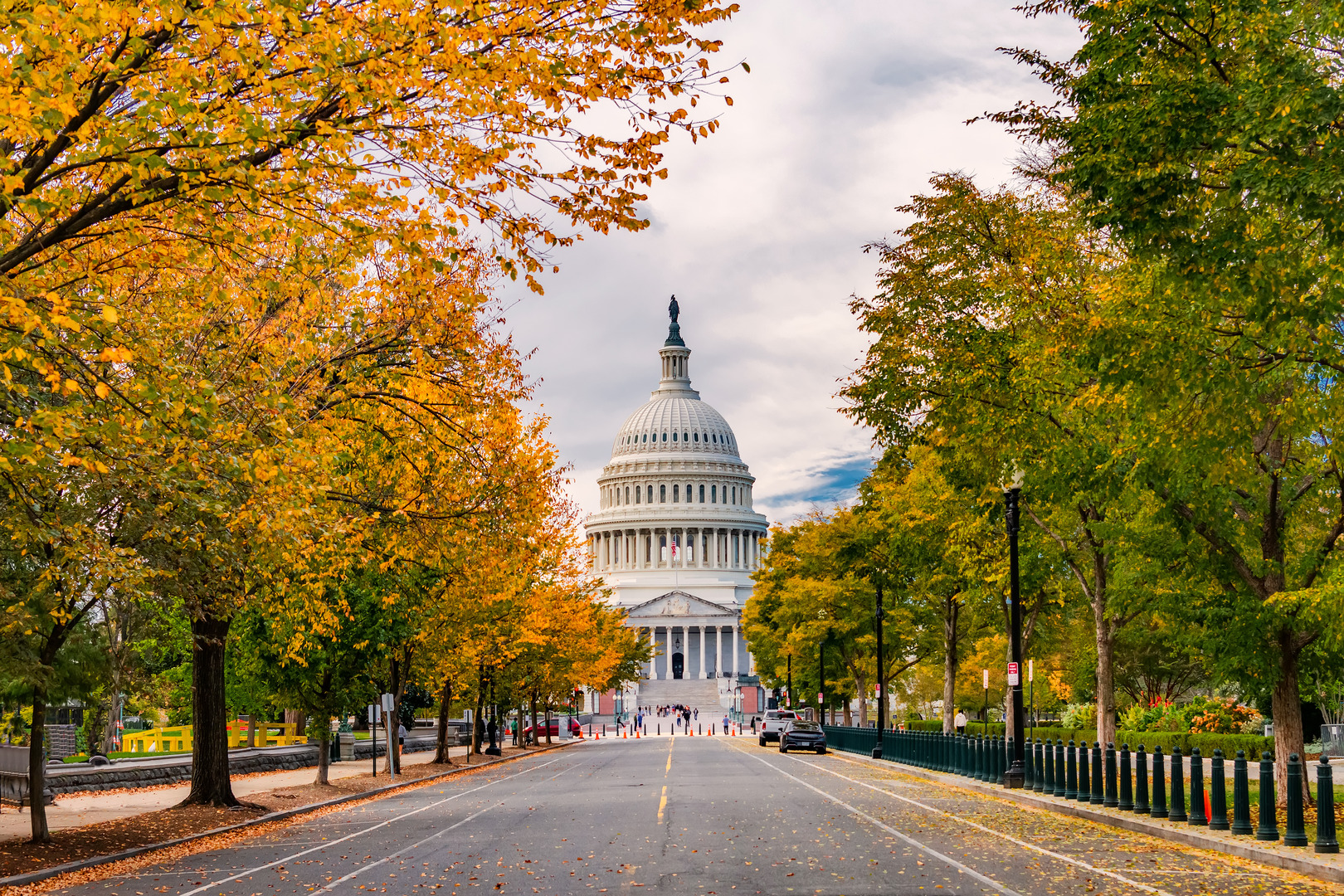 United States Capitol building framed by autumn trees in Washington DC