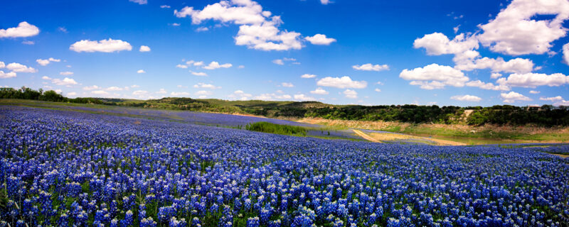 Expanding Our Structural Engineering Services in Austin